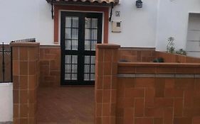 Palmera